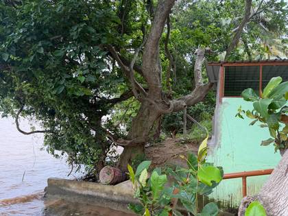 The Godavari at the Vaivaswatam ghat
