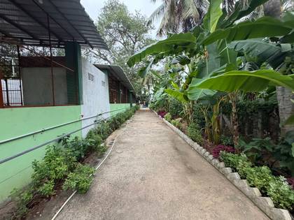 Garden path between the halls
